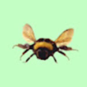 Meet your Posher, Bethany